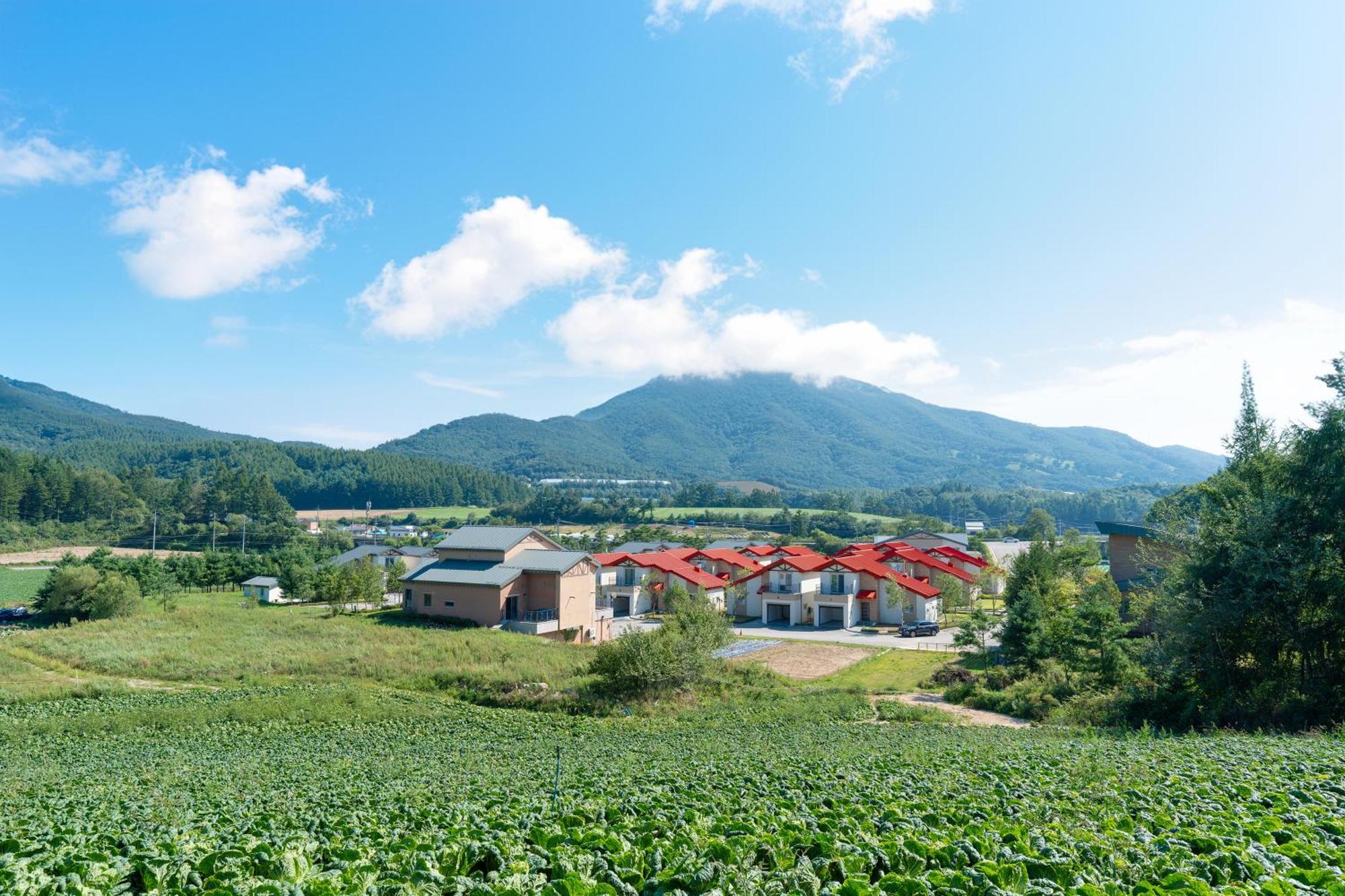 Le Comte Bleu Hotel พยองซาง ภายนอก รูปภาพ